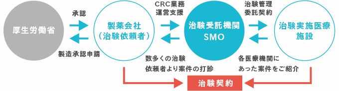 治験受託 SMOを通した、治験実施の流れ